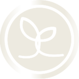 Touchstone Essentials