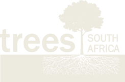 Trees South Africa